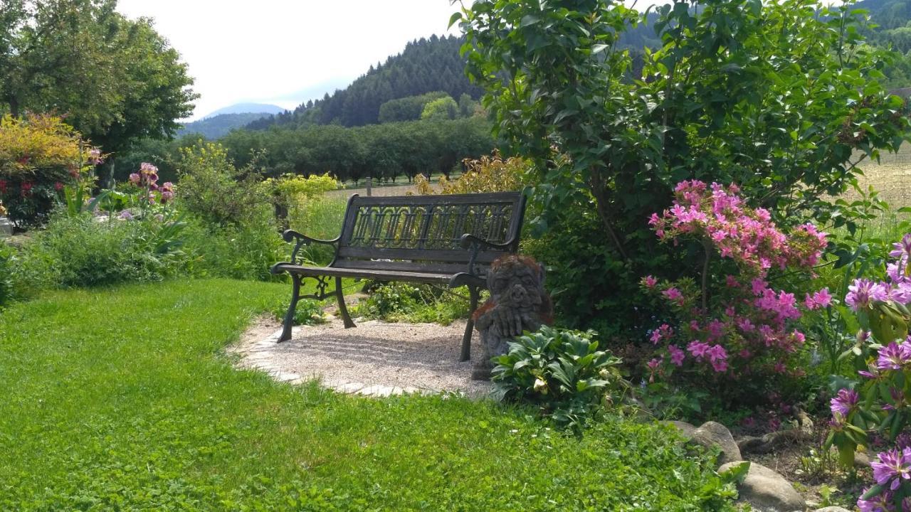 Ferienwohnung Belchenblick ชเตาเฟิน เอม บรายสเกา ภายนอก รูปภาพ